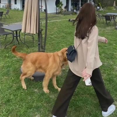 音乐江湖